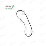 मैसी 1035 टैफे असली अल्टरनेटर बेल्ट | 4242512M01