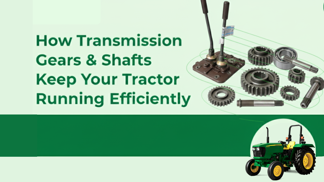 Untitled design (22).png