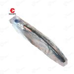 Farmtrac \ Powertrac Tractor Genuine Hose Assembly Pipe Fuel Tank, 19 Number Banjo