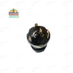 Sonalika Tractor Genuine Combination Switch Pin Type
